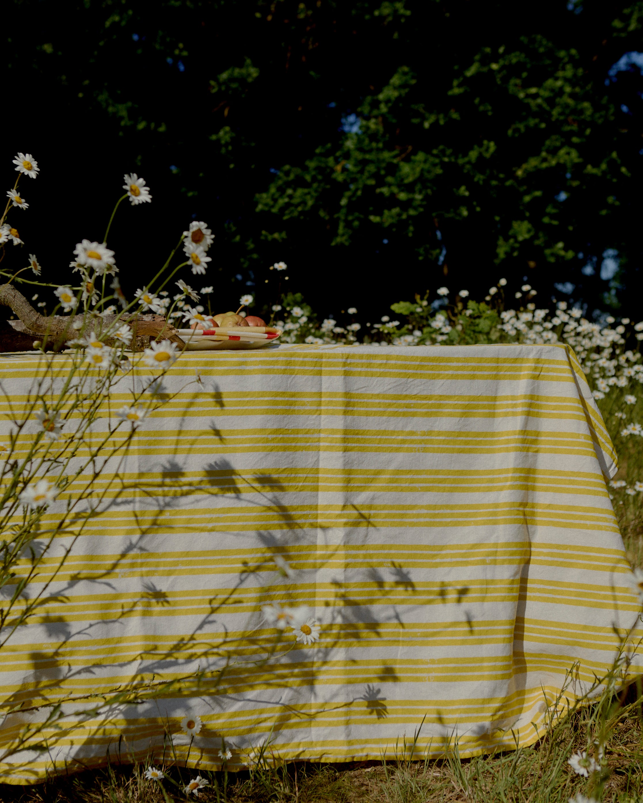 Lemon Yellow Stripe Tablecloth