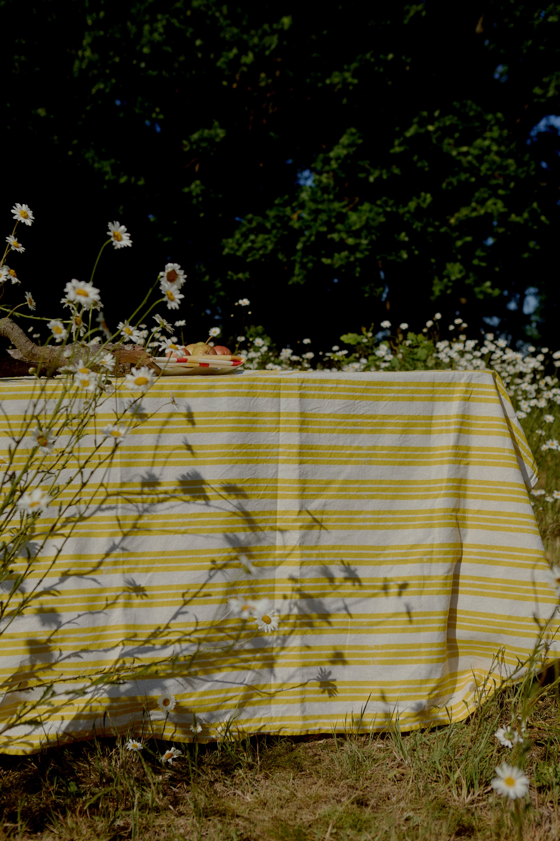 Lemon Yellow Stripe Tablecloth