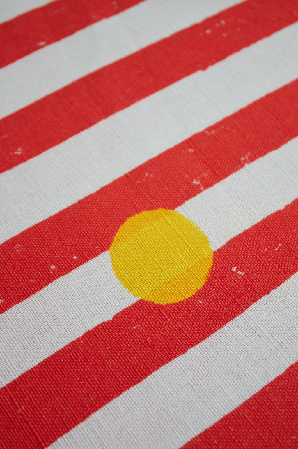 Cirque Fabric