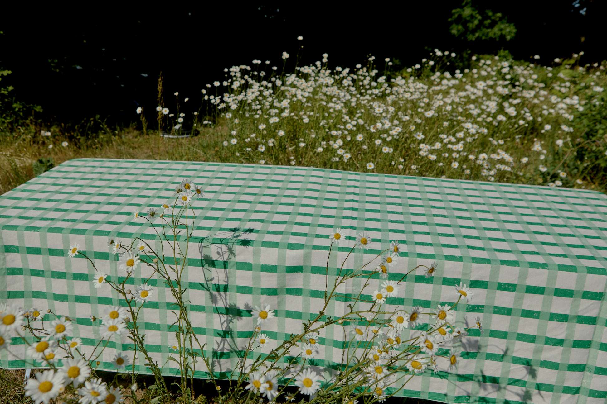 Pandan Table Linen